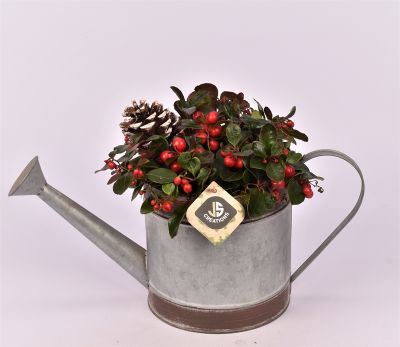 Arrangement in gieter