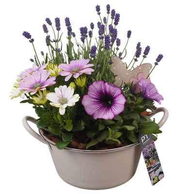 Arrangement outdoor summer