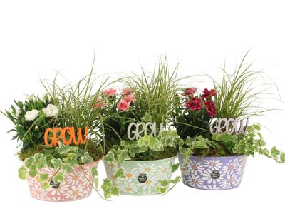 Arrangement outdoor summer