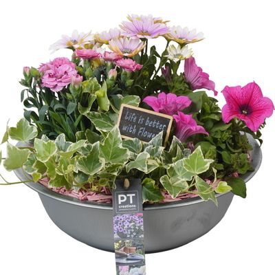 Arrangement plantes en zinc