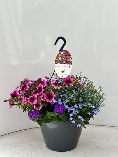 Hangpot aqua easy systeem