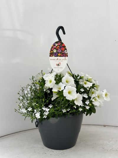 Hangpot aqua easy systeem