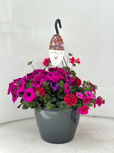 Hangpot aqua easy systeem