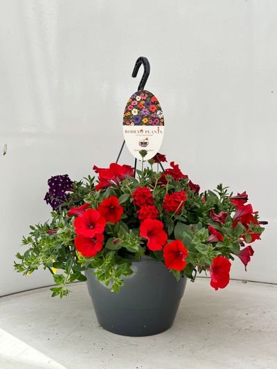 Hangpot aqua easy systeem
