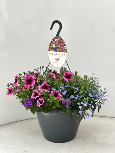 Hangpot aqua easy systeem