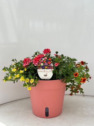 Terraspot aqua easy systeem