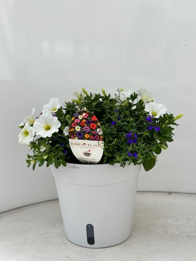 Terraspot aqua easy systeem