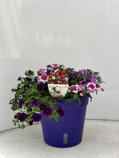 Terraspot aqua easy systeem
