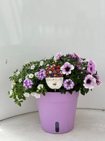 Terraspot aqua easy systeem