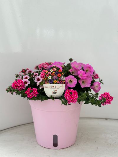 Terraspot aqua easy systeem