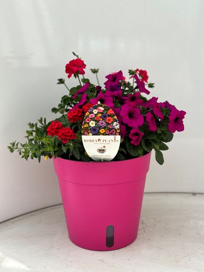 Terraspot aqua easy systeem