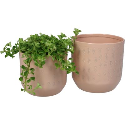 Set planter aluminium perzik