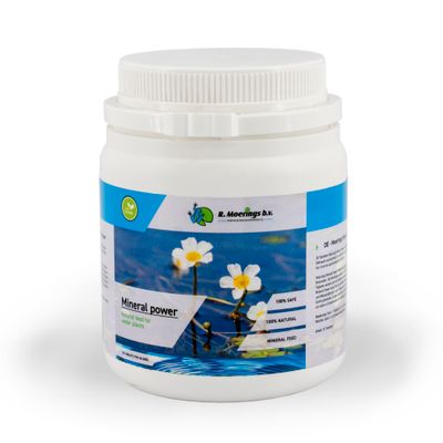 Moerings Mineral power 20 tabl