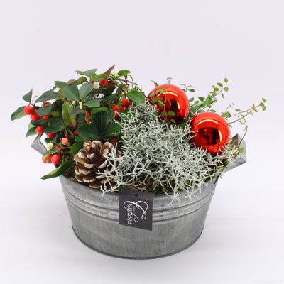 Arrangement Gaultheria creatie