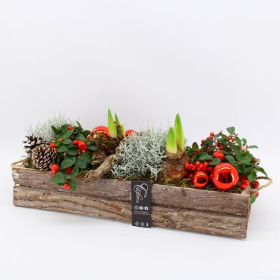 Arrangement Gaultheria creatie