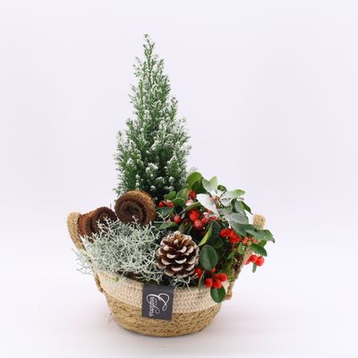 Arrangement Gaultheria creatie