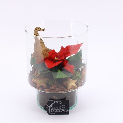 Arrangement Poinsettia creatie