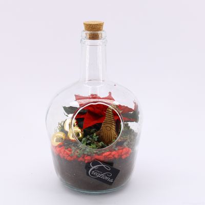 Arrangement Poinsettia terrarium