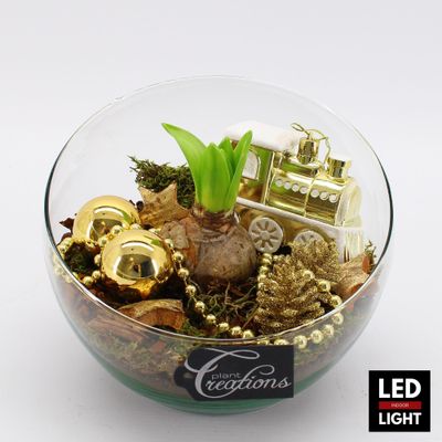 Arrangement Hyacint kerst