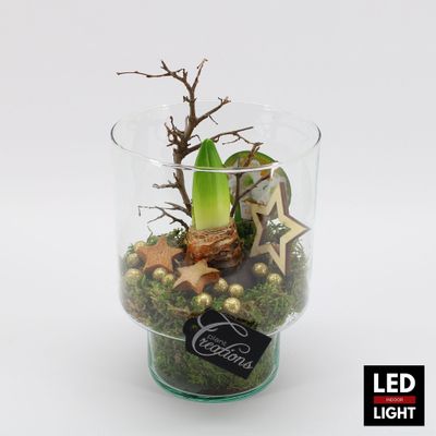 Arrangement kerst Amaryllis led