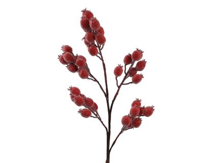 Branche mousse