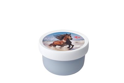 Fruitbox campus 300 ml - wild horse
