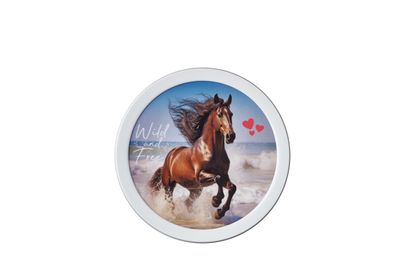 Fruitbox campus 300 ml - wild horse