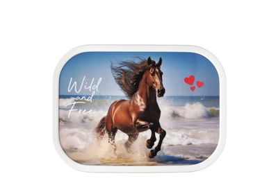 Lunchbox campus - wild horse
