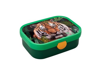 Lunchbox campus - wild tiger