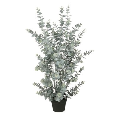 Eucalyptus en pot - h113xd40cm