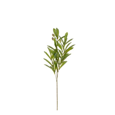 Olive branche vert - l55cm