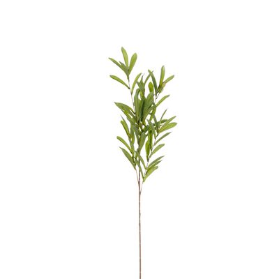 Olive branche vert - l85cm