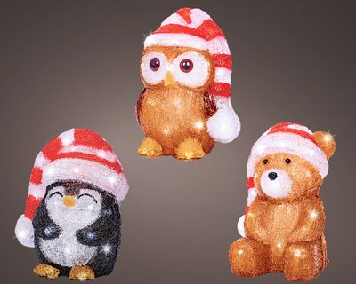 Led dier acryl steady batterij