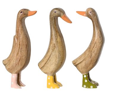 Canard