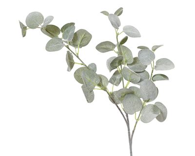 Eucalyptus polyester 