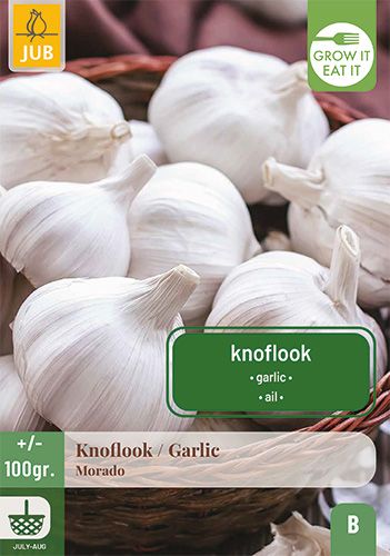 100 gram knoflook 'morado'