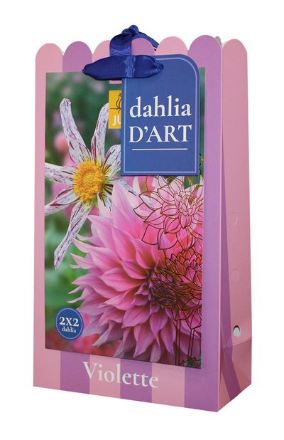 Tas 'dahlia d'art, violette' met 4 dahlias in paarse kleuren