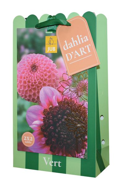 Tas 'dahlia d'art, vert' met 4 dahlias in paarse kleuren