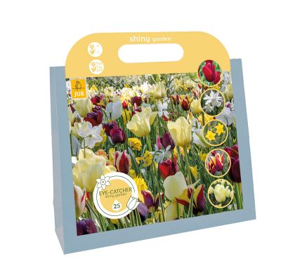 Tas 25 eye-catchers shiny garden