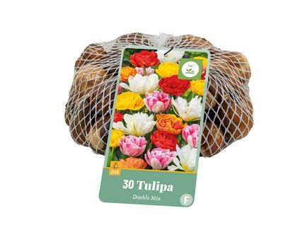 30 tulipa dubbel mix
