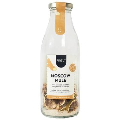 Moscow mule cocktail