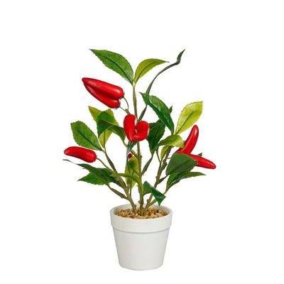 Peperplant in pot rood - h28xd15cm