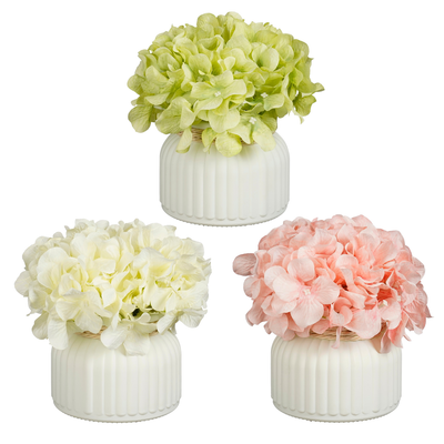Hortensia en pot creme vert rose 3 assorti - h18xd17cm