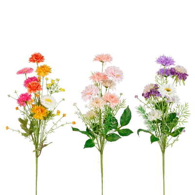 Marguerite rose violet fuchsia 3 assorti - l60cm