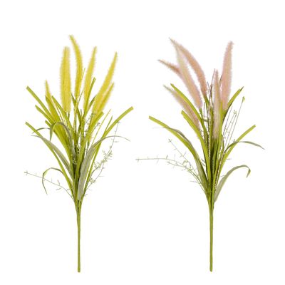 Pluimgras - l58cm