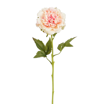 Pivoine rose cl. real touch - l57cm