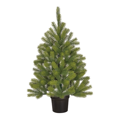 Kerstboom