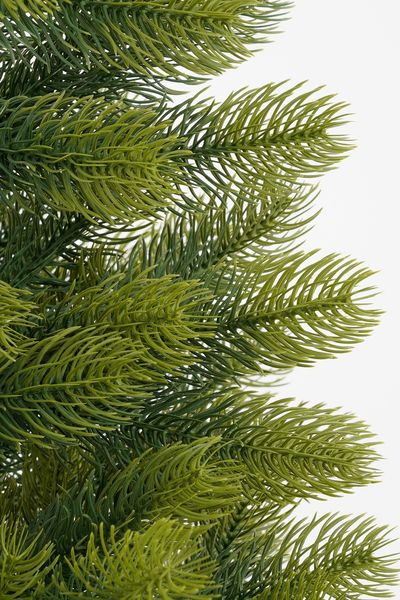 Kerstboom