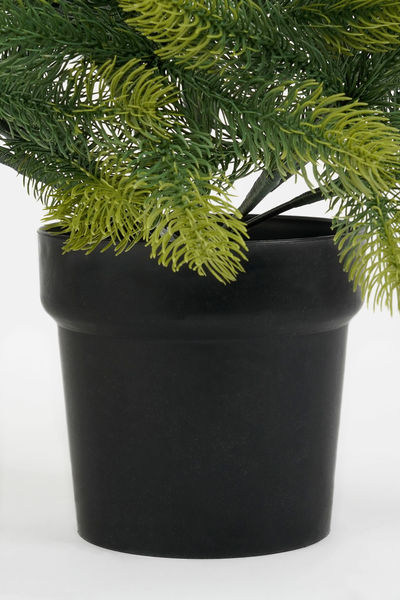 Kerstboom