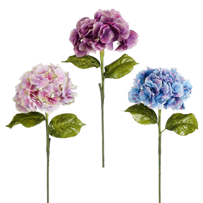 Hortensia bleu violet cl. violet 3 assorti - l93cm